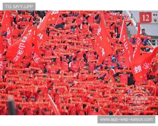 中国足球赛事影响力不断扩大，中国足球发展报告