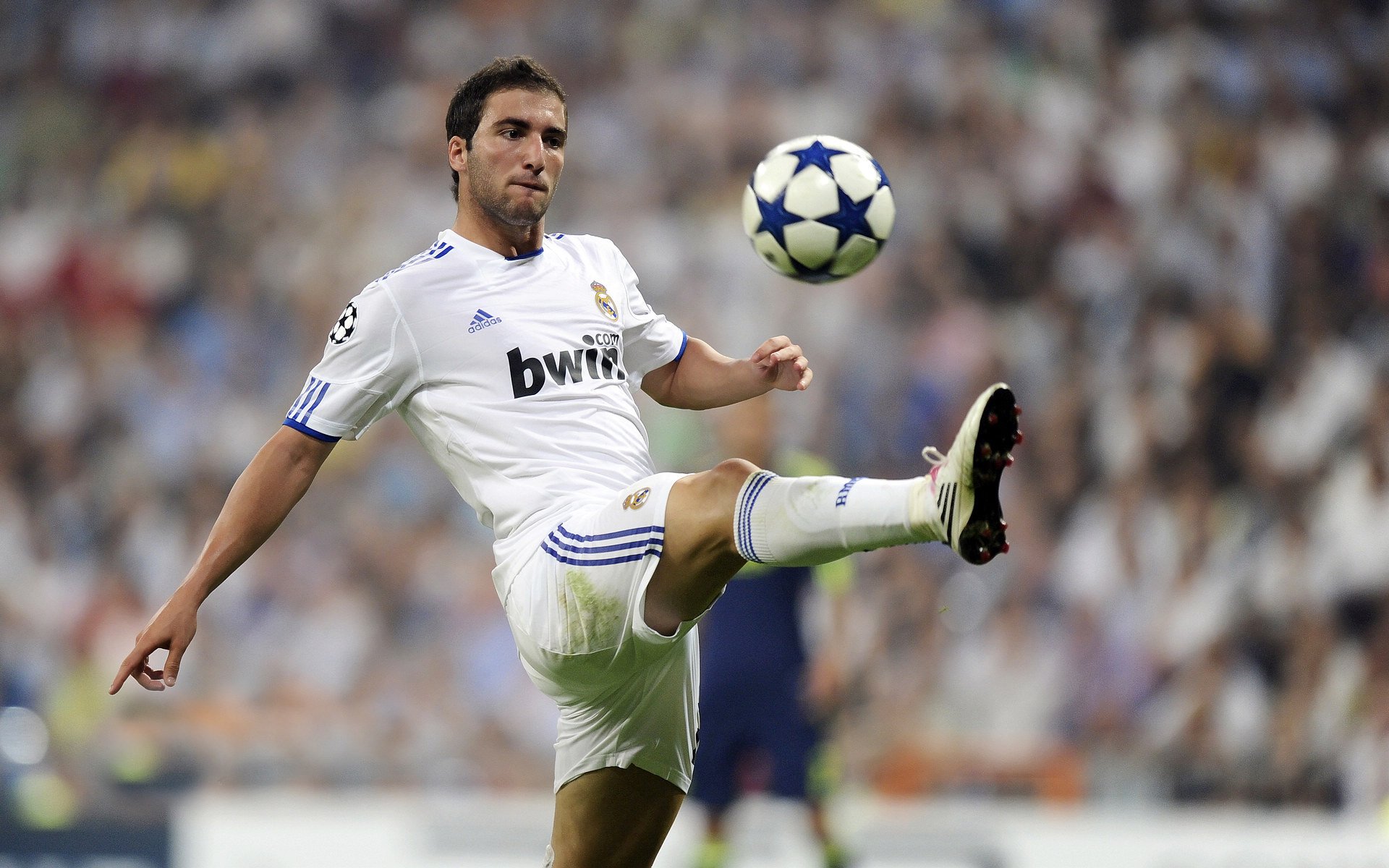 开云kaiyun-19岁荷兰新带刀后卫荷甲横空出世5大欧洲豪门疯抢，荷兰足球后卫